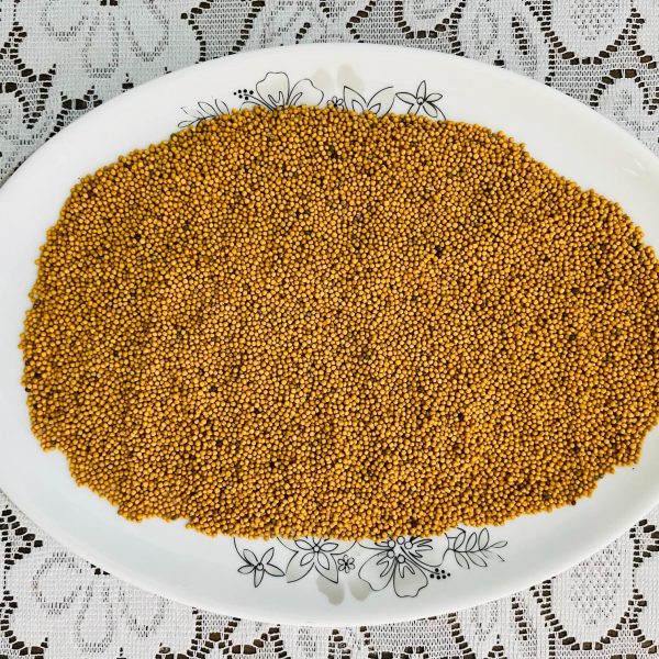 100gm - Sorisha Dana - (White Mustard) – Premium Natural & Fresh Seeds