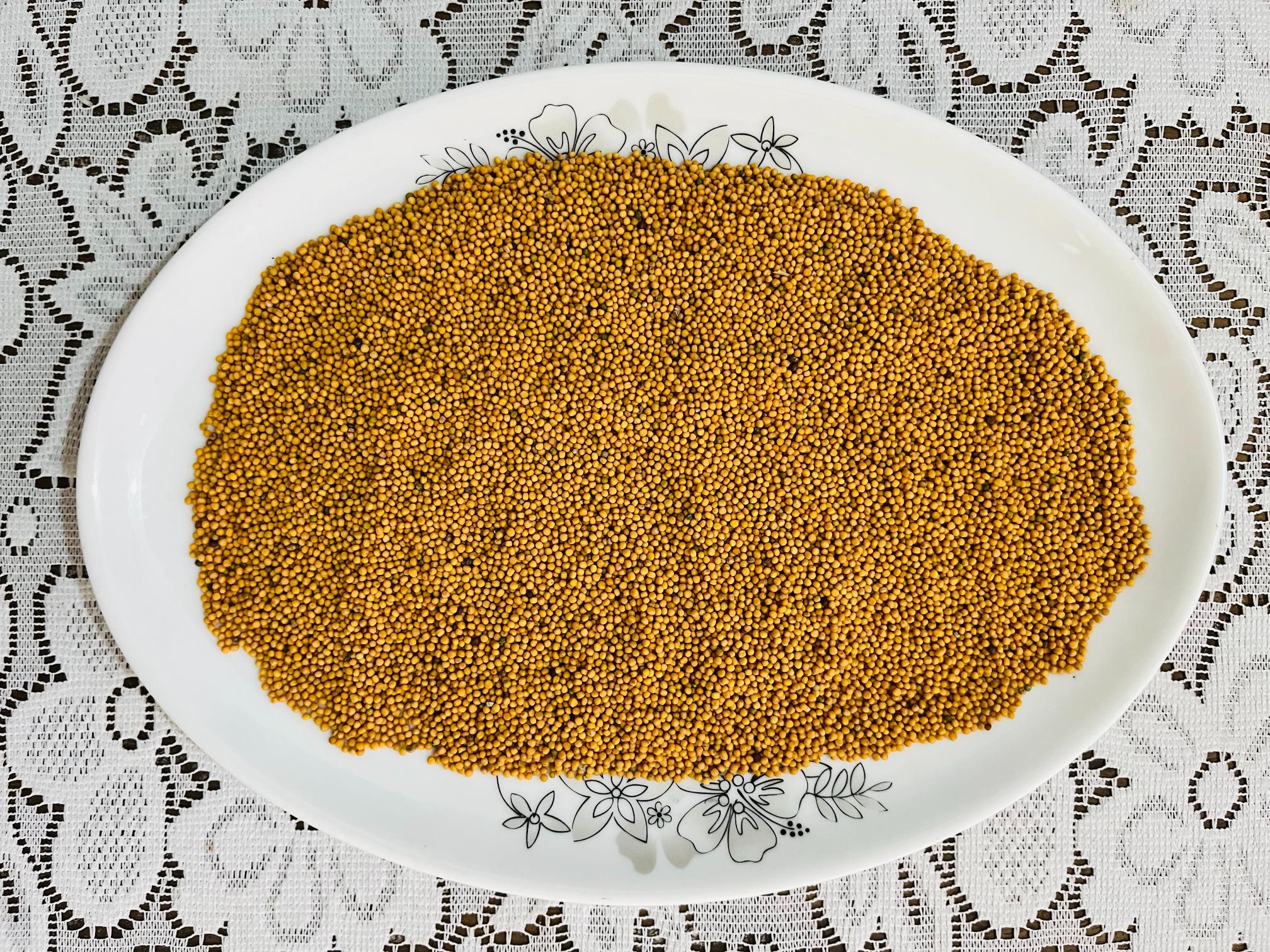IMG_5608 250gm - Sorisha Dana - (White Mustard) – Premium Natural & Fresh Seeds - Image 1