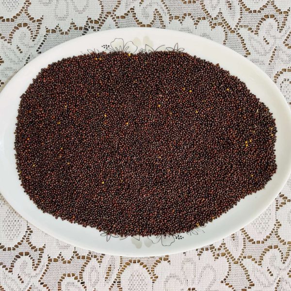 1kg - Sorisha Dana - (Red Mustard) – Premium Natural & Fresh Seeds