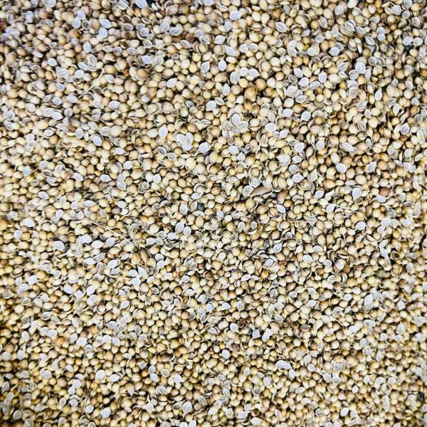 100gm - Dhonia Seeds - | Fresh Coriander Whole Spice | Pure Bengali Masala